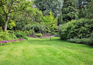 Optimiser l'expérience du jardin à Mailly-Raineval